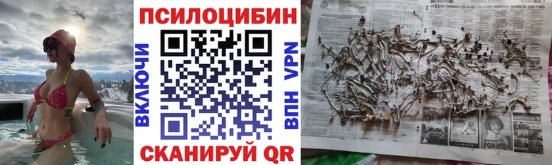 Галлюциногенные грибы ЛСД  Купить где  Вичуга 